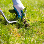 Landscaping services near me