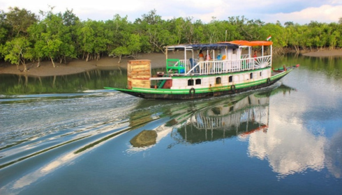 sundarban tour package